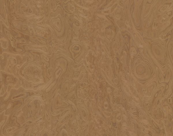 ALPI Walnut Burl